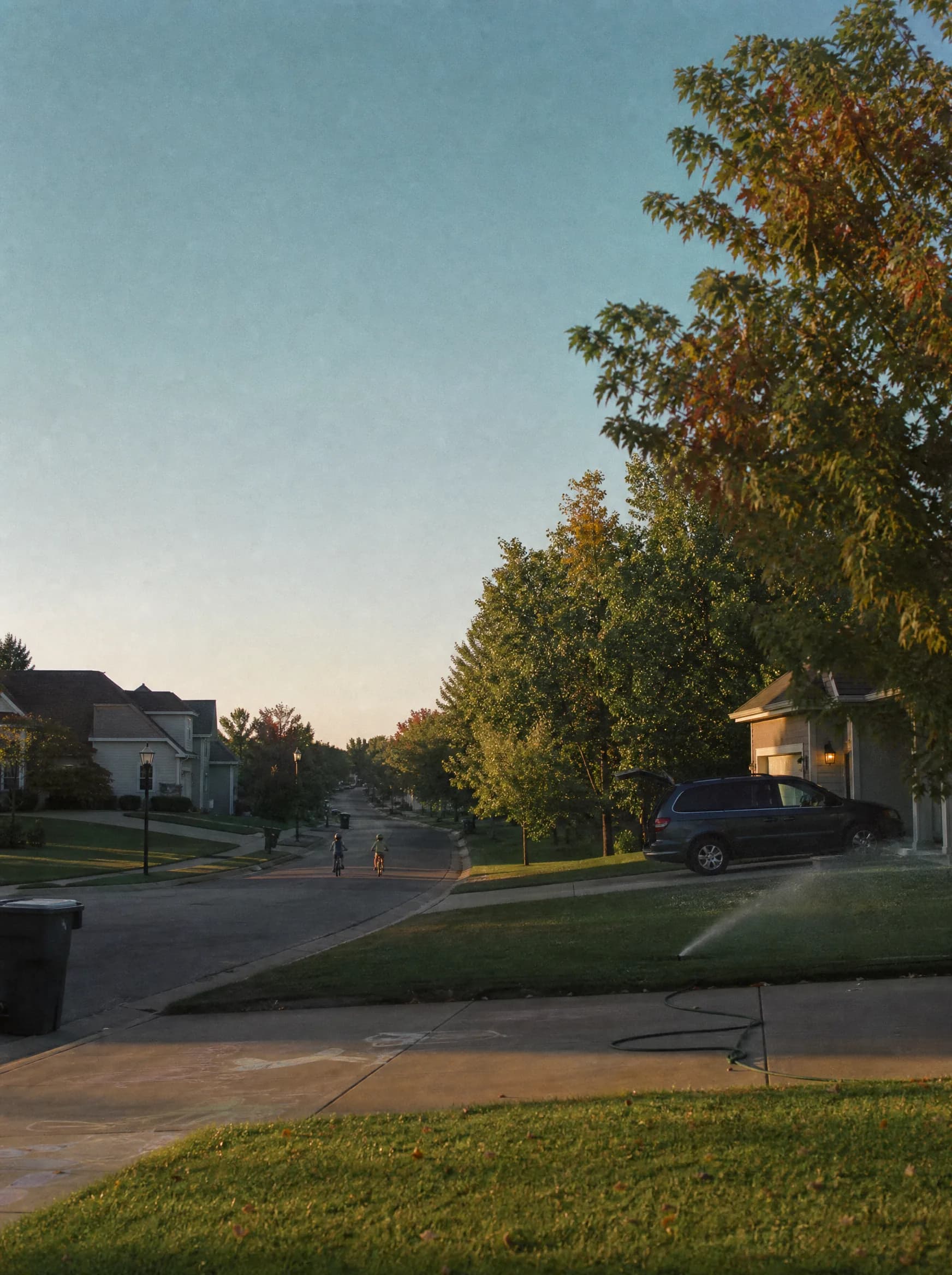 A suburban street with mature trees and driveways